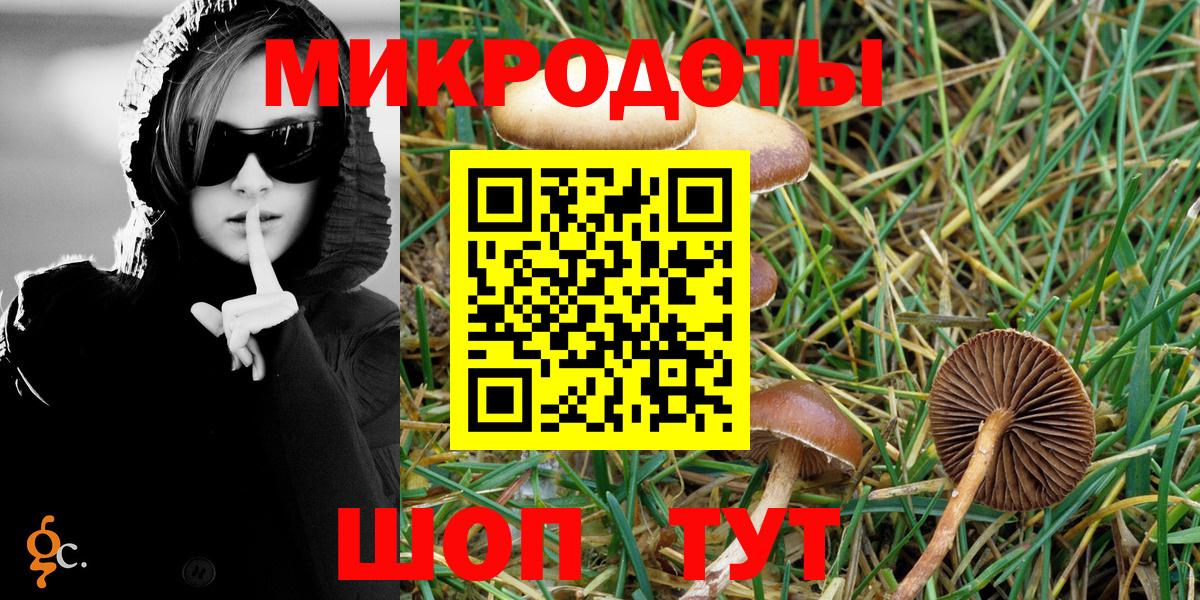 Псилоцибиновые грибы мицелий Благодарный