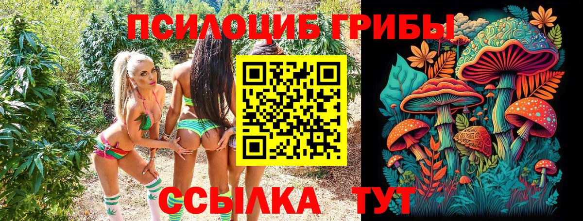 Благодарный  Галлюциногенные грибы Magic Shrooms  Вход с VPN 
