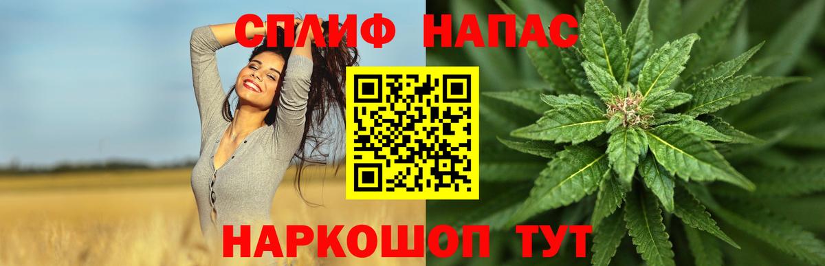 Конопля индика  Вход с VPN  Бошки Шишки SATIVA & INDICA  Благодарный 